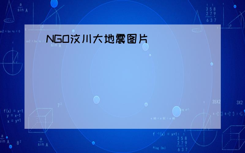 NGO汶川大地震图片