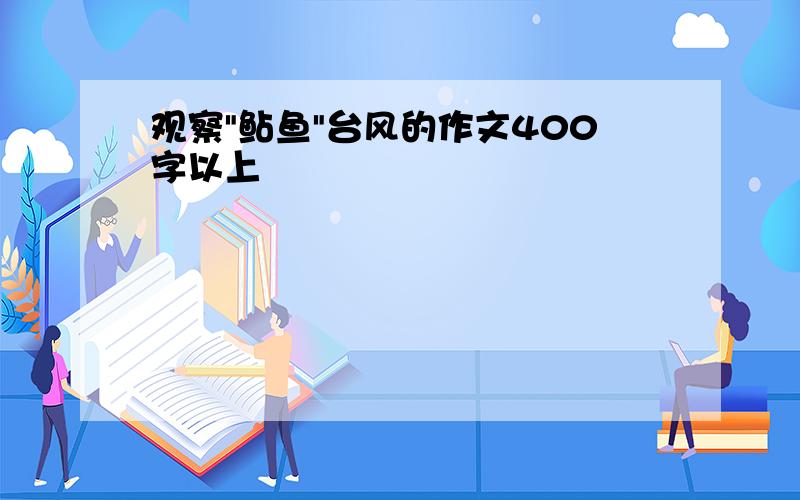 观察"鲇鱼"台风的作文400字以上