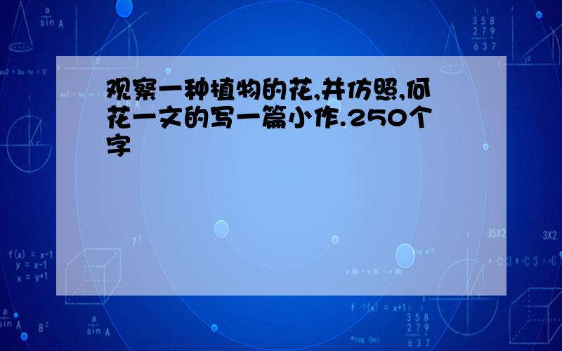 观察一种植物的花,并仿照,何花一文的写一篇小作.250个字