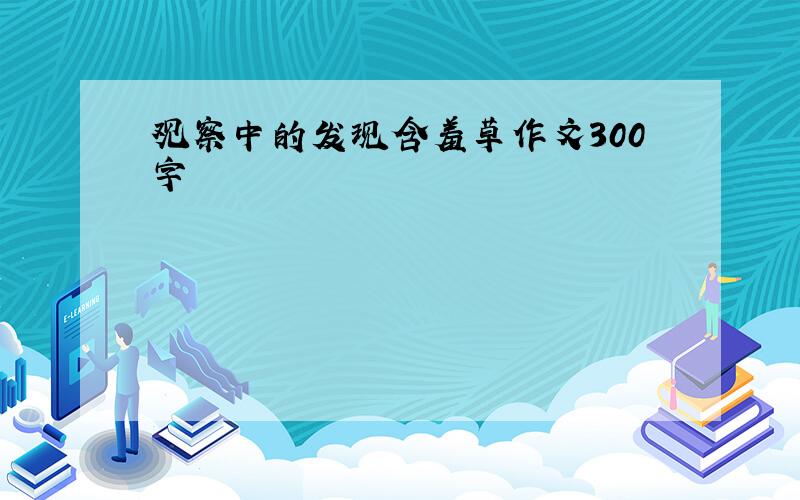 观察中的发现含羞草作文300字