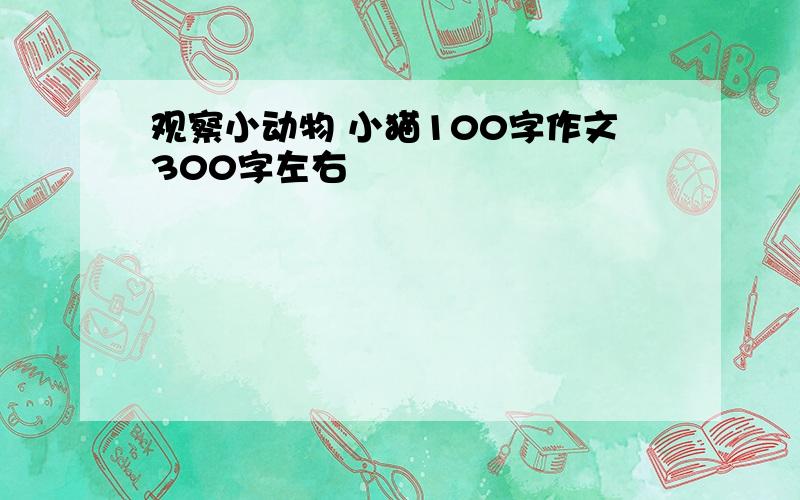 观察小动物 小猫100字作文300字左右