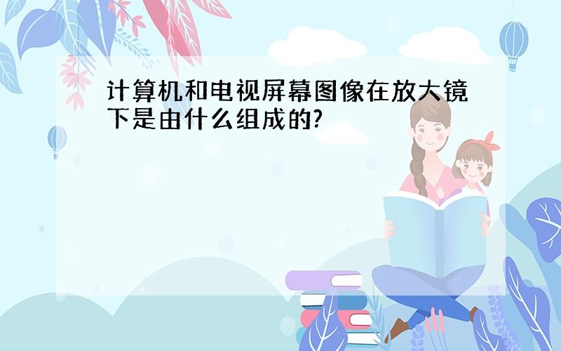 计算机和电视屏幕图像在放大镜下是由什么组成的?