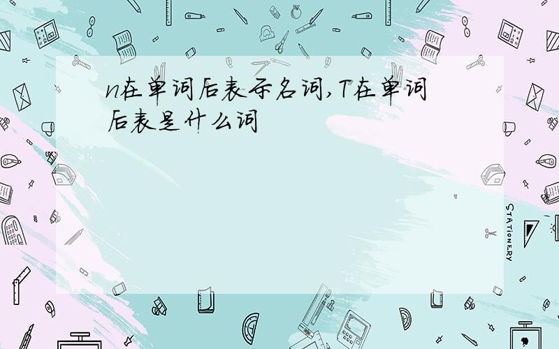 n在单词后表示名词,T在单词后表是什么词