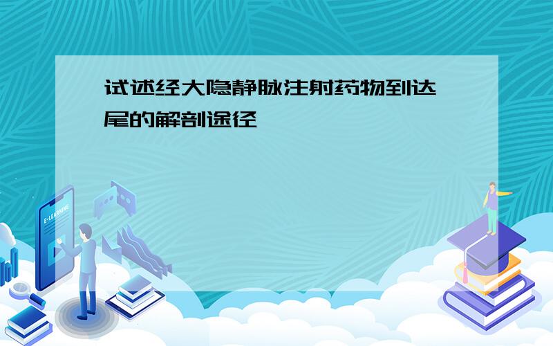 试述经大隐静脉注射药物到达阑尾的解剖途径