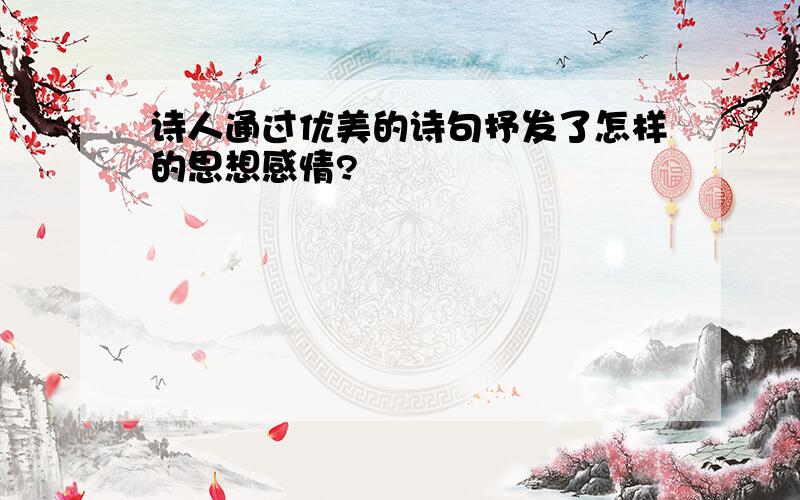 诗人通过优美的诗句抒发了怎样的思想感情?