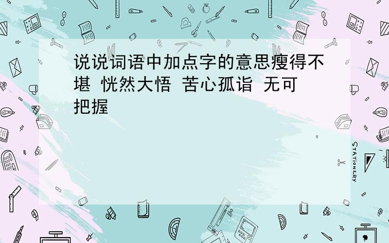 说说词语中加点字的意思瘦得不堪 恍然大悟 苦心孤诣 无可把握