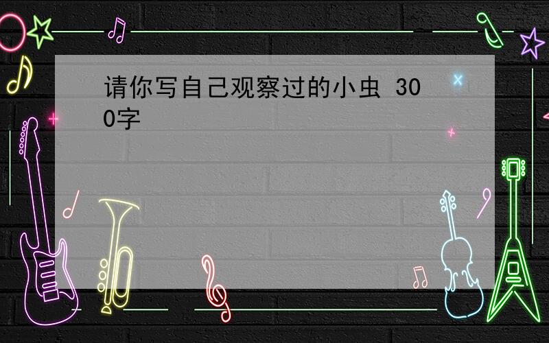 请你写自己观察过的小虫 300字