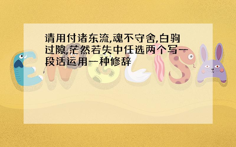 请用付诸东流,魂不守舍,白驹过隙,茫然若失中任选两个写一段话运用一种修辞