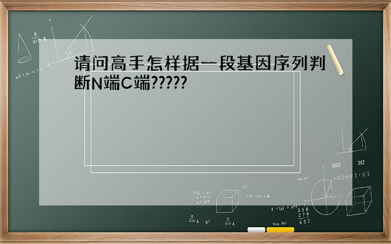 请问高手怎样据一段基因序列判断N端C端?????