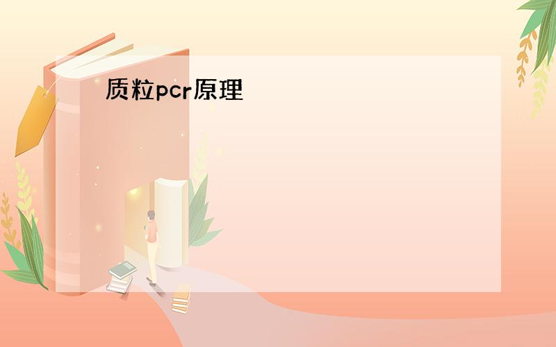 质粒pcr原理