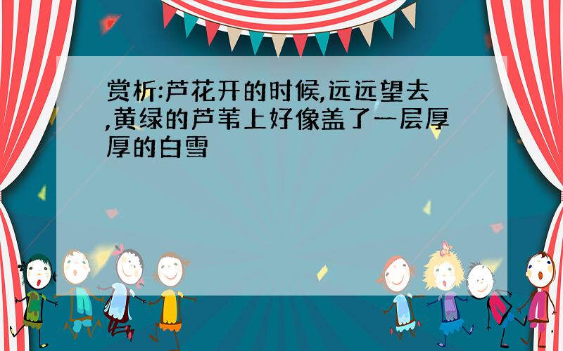 赏析:芦花开的时候,远远望去,黄绿的芦苇上好像盖了一层厚厚的白雪