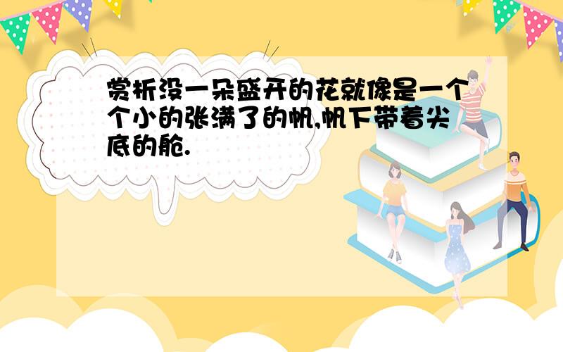 赏析没一朵盛开的花就像是一个个小的张满了的帆,帆下带着尖底的舱.