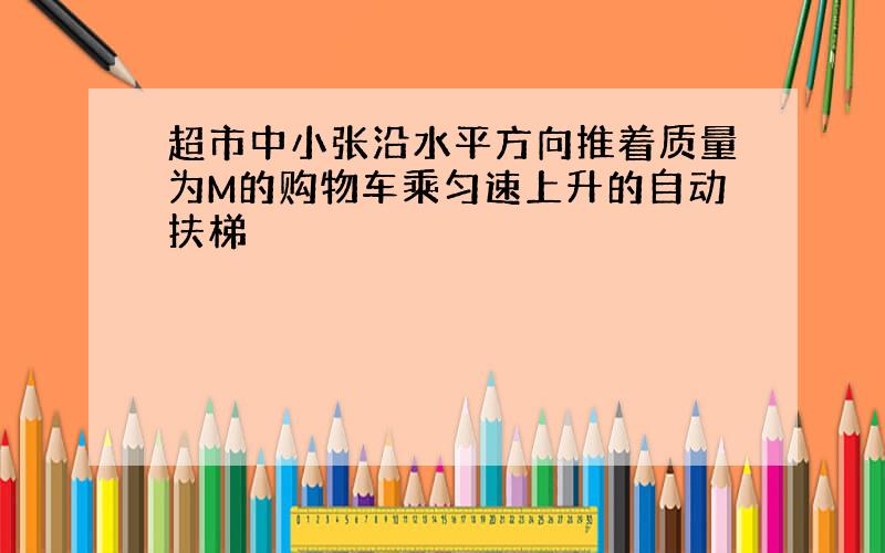 超市中小张沿水平方向推着质量为M的购物车乘匀速上升的自动扶梯