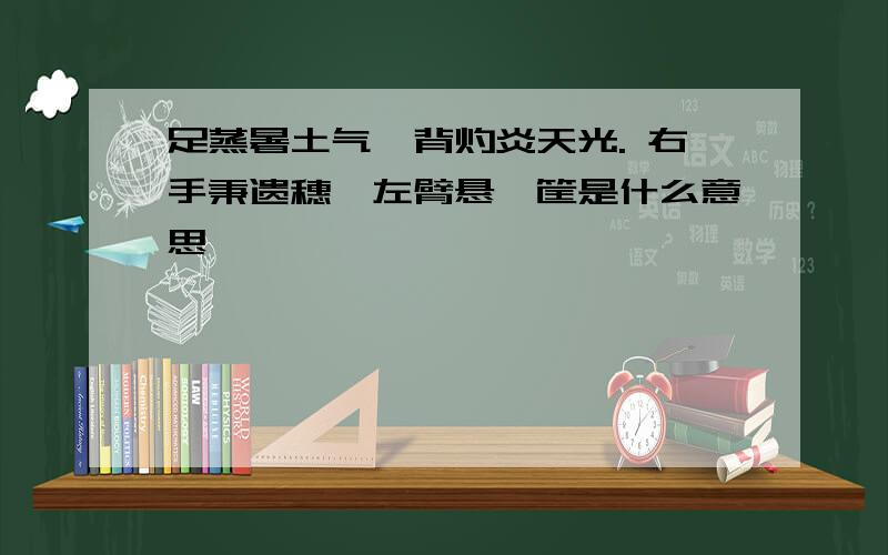 足蒸暑土气,背灼炎天光. 右手秉遗穗,左臂悬敝筐是什么意思