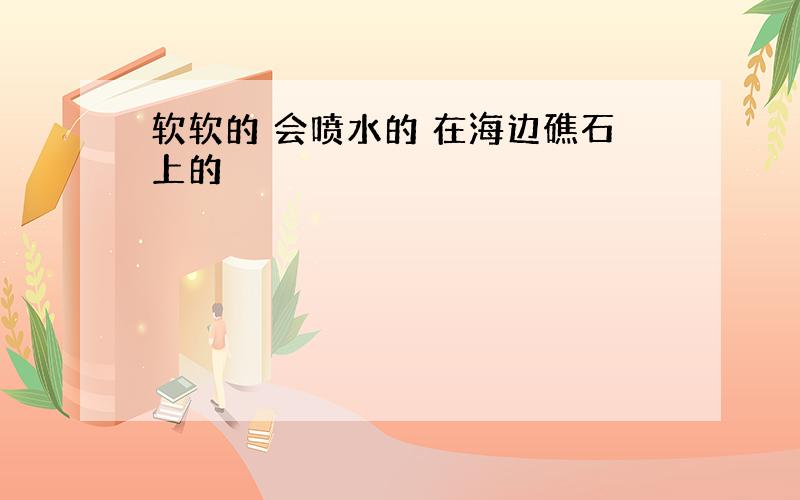 软软的 会喷水的 在海边礁石上的