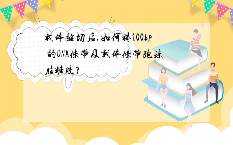 载体酶切后,如何将100bp 的DNA条带及载体条带跑琼脂糖胶?