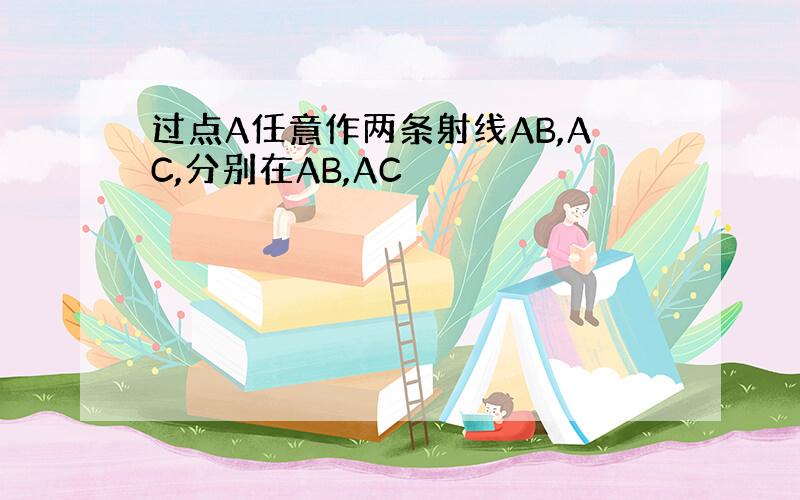 过点A任意作两条射线AB,AC,分别在AB,AC