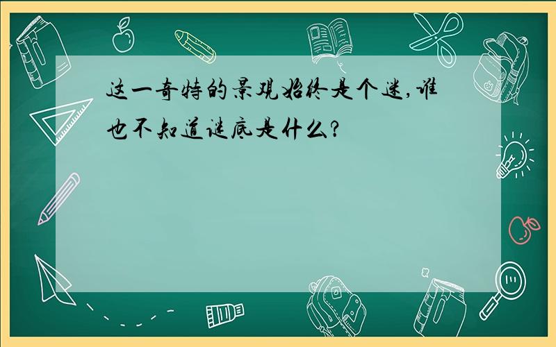 这一奇特的景观始终是个迷,谁也不知道谜底是什么?