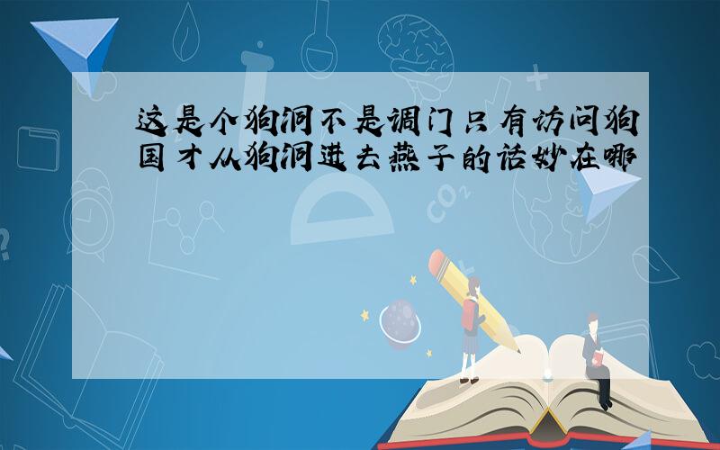 这是个狗洞不是调门只有访问狗国才从狗洞进去燕子的话妙在哪