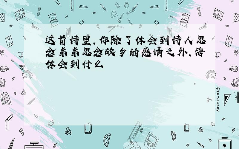 这首诗里,你除了体会到诗人思念弟弟思念故乡的感情之外,海体会到什么