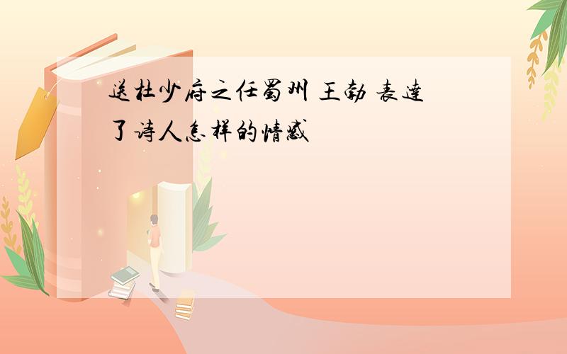 送杜少府之任蜀州 王勃 表达了诗人怎样的情感