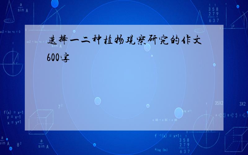 选择一二种植物观察研究的作文600字