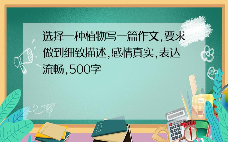 选择一种植物写一篇作文,要求做到细致描述,感情真实,表达流畅,500字