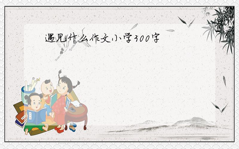 遇见什么作文小学300字