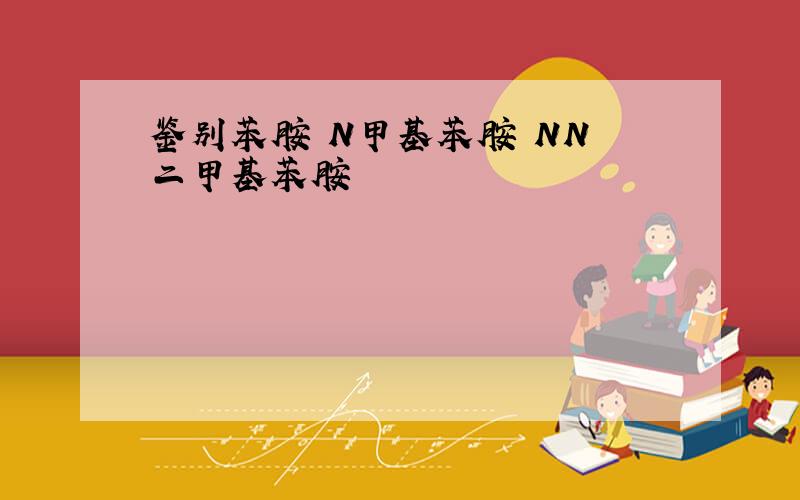 鉴别苯胺 N甲基苯胺 NN 二甲基苯胺