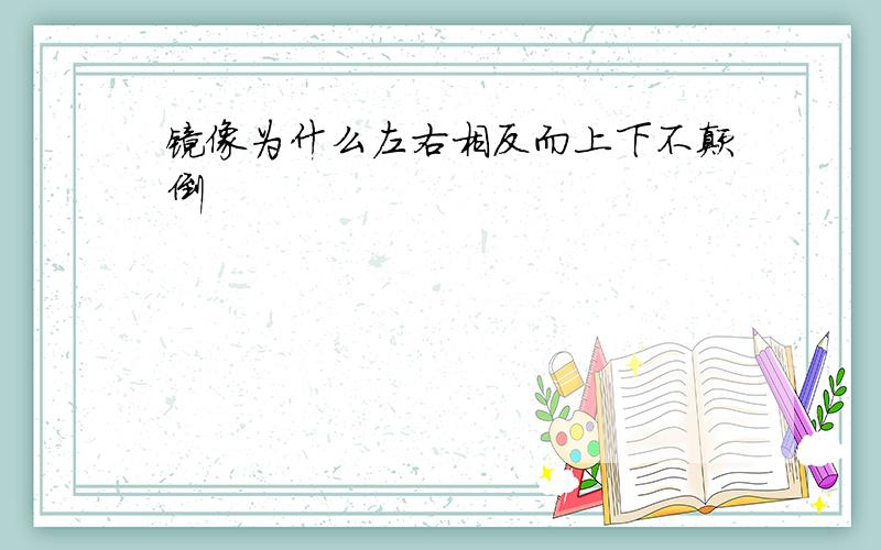 镜像为什么左右相反而上下不颠倒