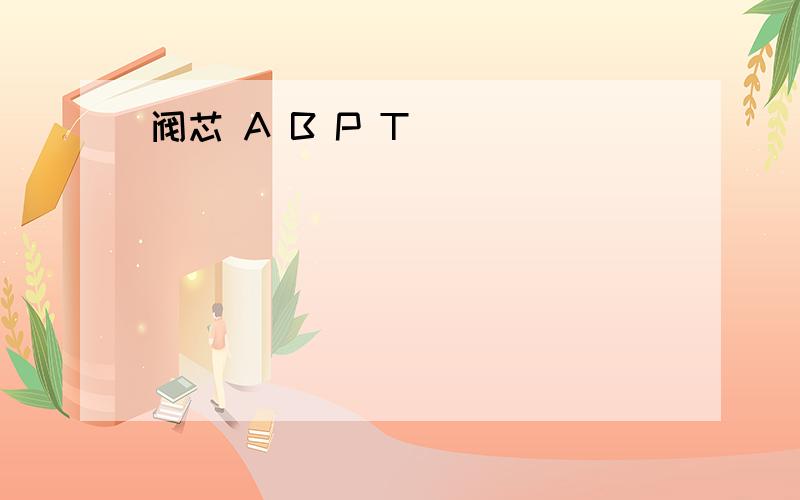 阀芯 A B P T