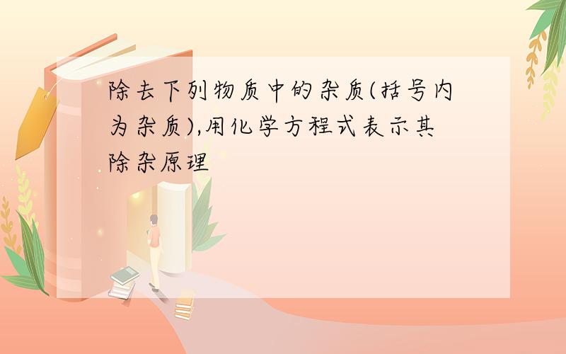 除去下列物质中的杂质(括号内为杂质),用化学方程式表示其除杂原理