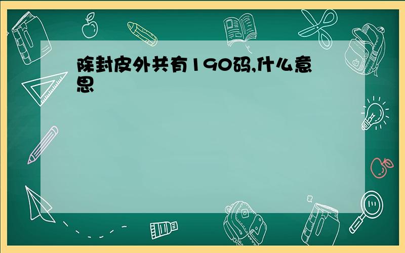 除封皮外共有190码,什么意思