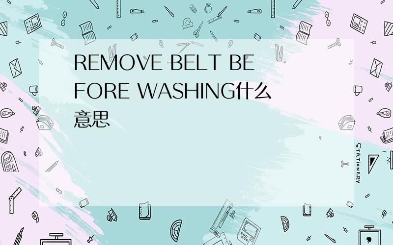 REMOVE BELT BEFORE WASHING什么意思