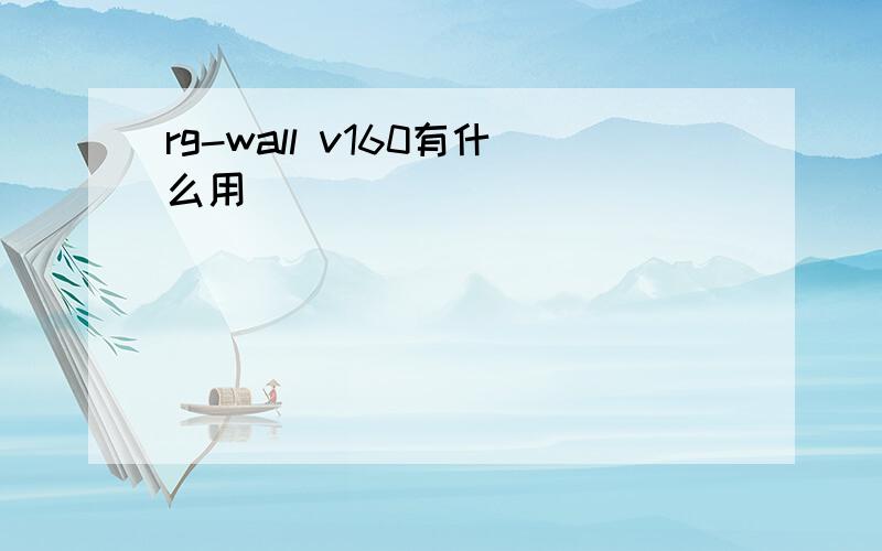 rg-wall v160有什么用