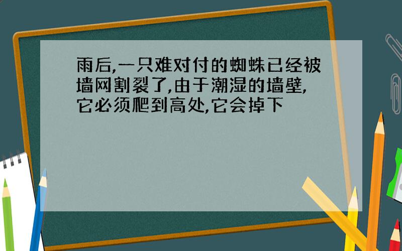 雨后,一只难对付的蜘蛛已经被墙网割裂了,由于潮湿的墙壁,它必须爬到高处,它会掉下