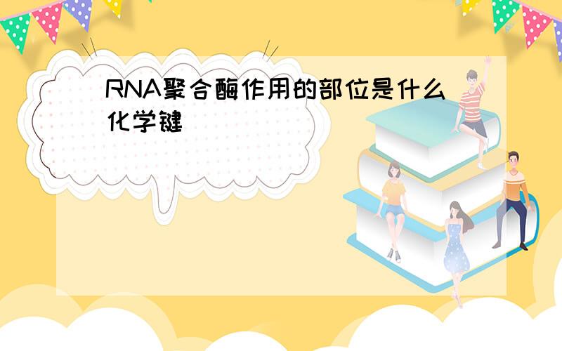 RNA聚合酶作用的部位是什么化学键