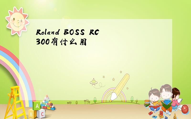 Roland BOSS RC300有什么用