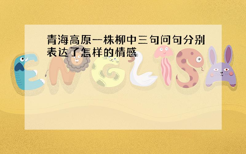 青海高原一株柳中三句问句分别表达了怎样的情感