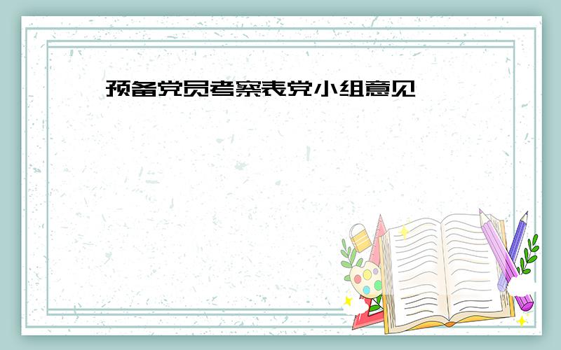 预备党员考察表党小组意见