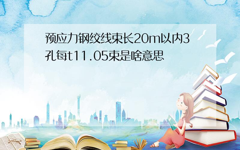 预应力钢绞线束长20m以内3孔每t11.05束是啥意思