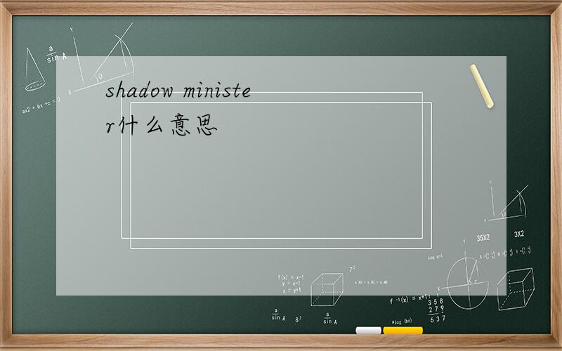 shadow minister什么意思