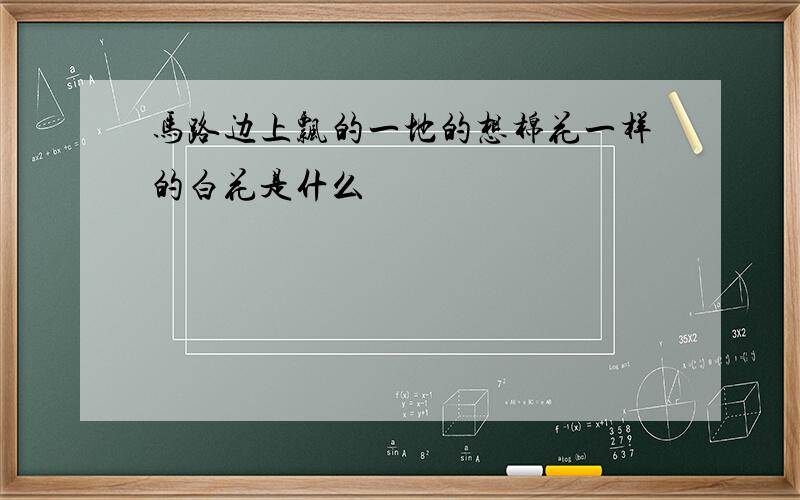 马路边上飘的一地的想棉花一样的白花是什么