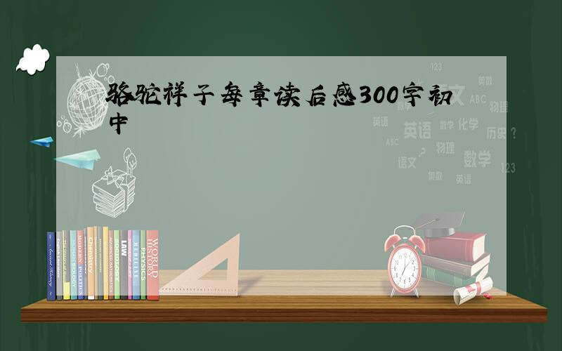 骆驼祥子每章读后感300字初中