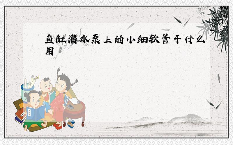 鱼缸潜水泵上的小细软管干什么用