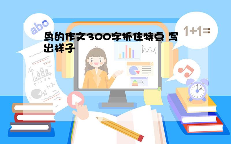 鸟的作文300字抓住特点 写出样子