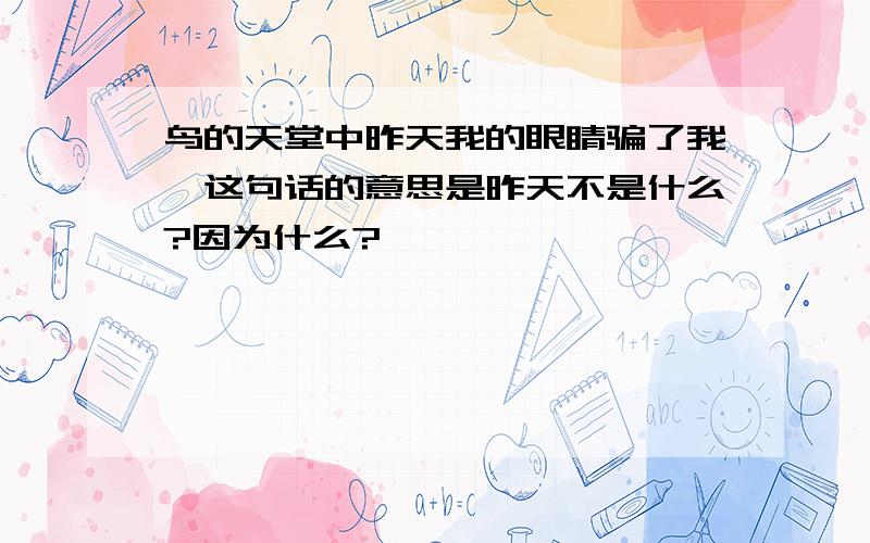 鸟的天堂中昨天我的眼睛骗了我,这句话的意思是昨天不是什么?因为什么?