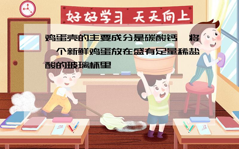 鸡蛋壳的主要成分是碳酸钙,将一个新鲜鸡蛋放在盛有足量稀盐酸的玻璃杯里