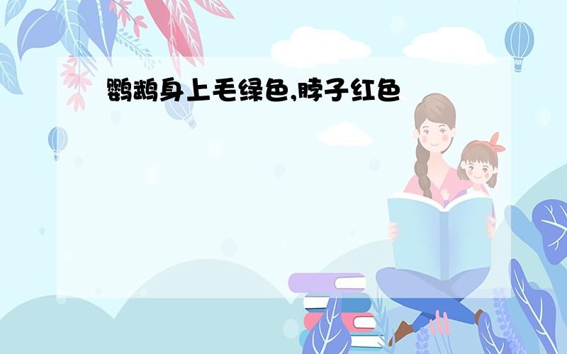 鹦鹉身上毛绿色,脖子红色