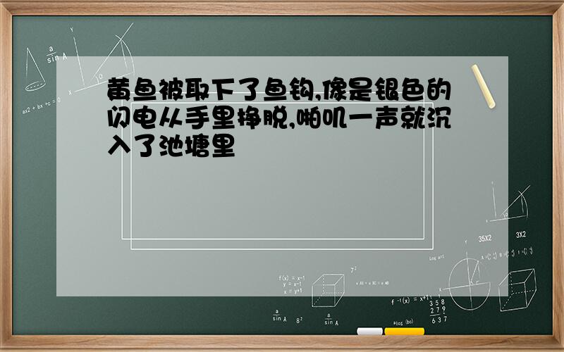 黄鱼被取下了鱼钩,像是银色的闪电从手里挣脱,啪叽一声就沉入了池塘里